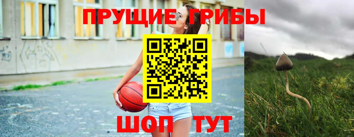 Псилоцибиновые грибы прущие грибы Качканар